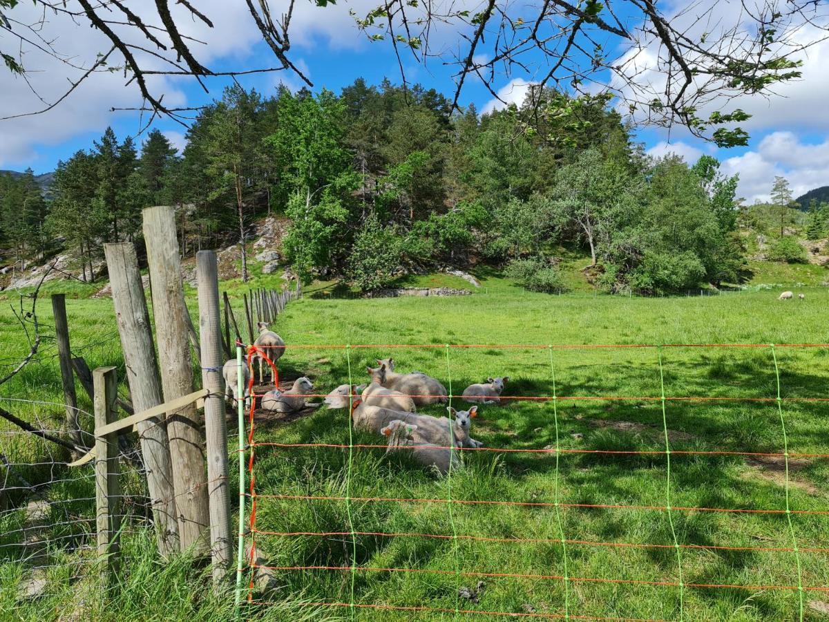 Hygge Pa Fjellet Villa Oyuvstad Luaran gambar