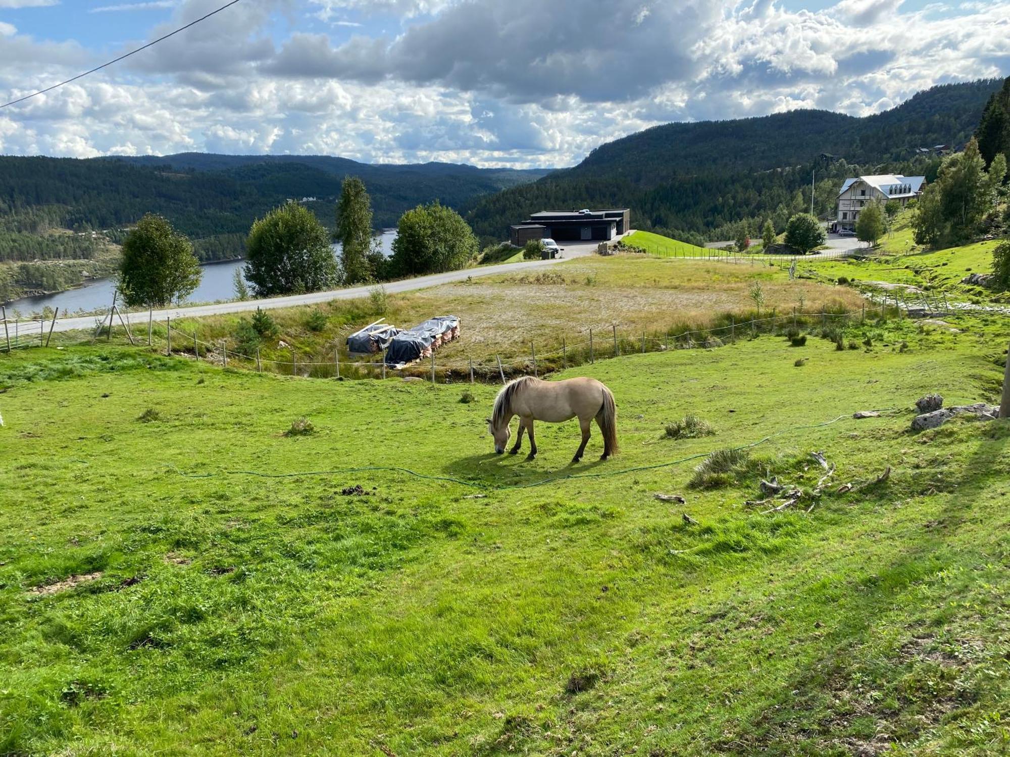 Hygge Pa Fjellet Villa Oyuvstad Luaran gambar